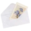 ✉️