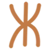 🟠