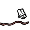 🐇