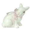 🐇