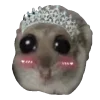 👸