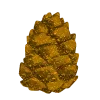 🥥