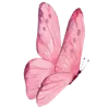 🦋