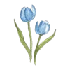 🌷