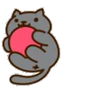 🐈‍⬛