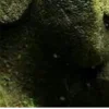 🤩