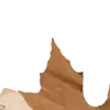 📜
