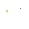 🟠
