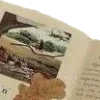 📜