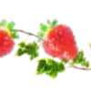 🍓