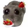 🍓