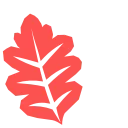 🍁