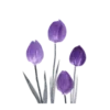💜