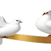 🕊