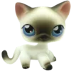 🐈