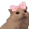 🎀