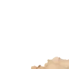 📜