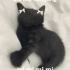 💤