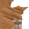 📜