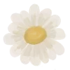 🌼