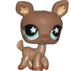 🦌