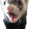 😨