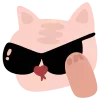 😎