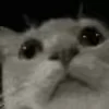 😶
