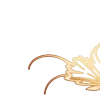 🟠