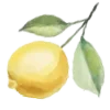 🍋