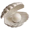 🐚