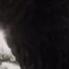 ⭐