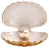 🐚