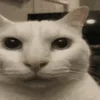 😱