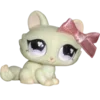 🐈