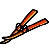 🎿