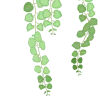 🌱