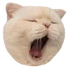 😴
