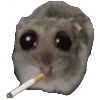 🚬