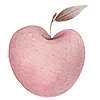 🍎