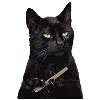 😾