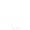 🟠