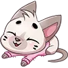 😼