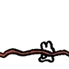 🐇