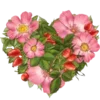 💗