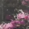 ⭐