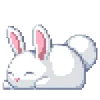 🐇
