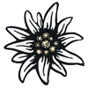🏵️