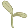 🌱