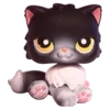 🐈